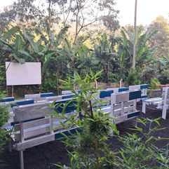 Banana Eco Farm buitenbioscoop